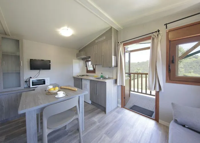 Avec Terrasse A Pour 3 Pers. - Api-1-52-1845 *